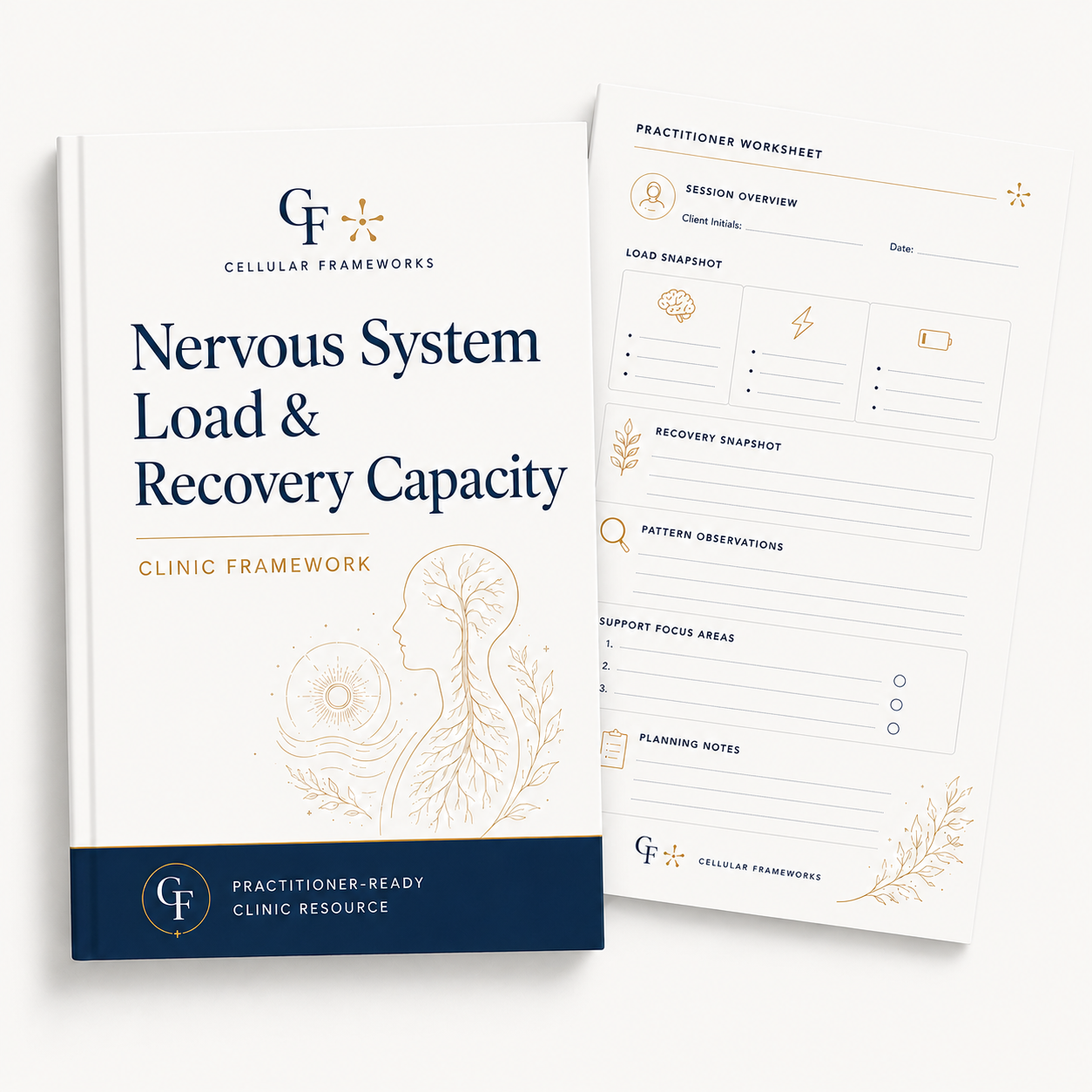 Nervous System Load and Recovery Capacity Clinic Framework product preview